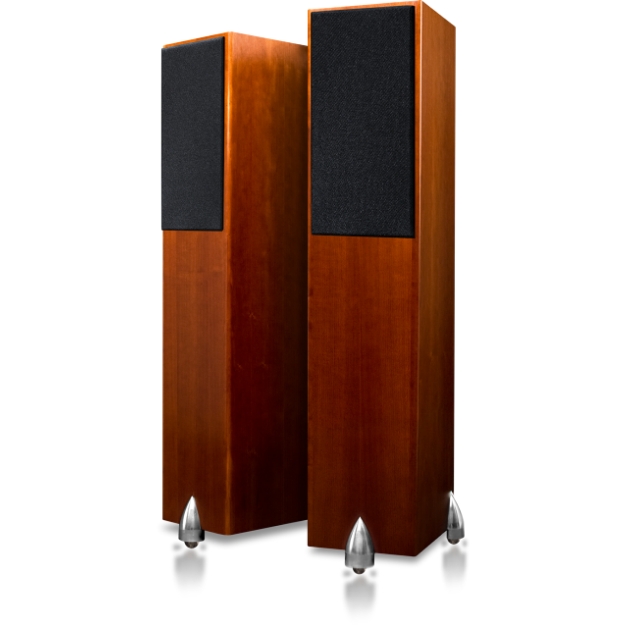 Totem Forest Floorstanding Speakers - Image 3