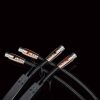 AudioQuest Interconnect XLR - Pegasus - Image 5