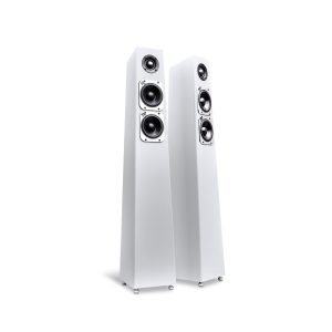 Totem Acoustic Tribe Tower Floorstanding Speakers